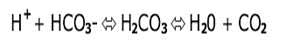Formula: Acid (H+)