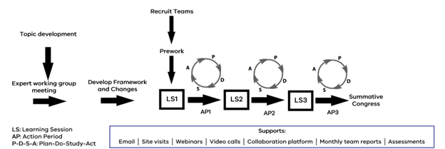 Breakthrough series collaborative model