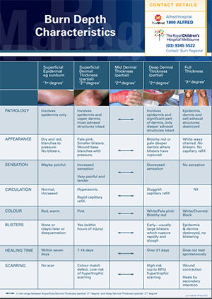 Burn depth characteristics guideline poster