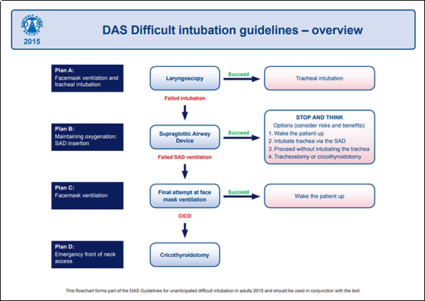 Flowchart outlining an overview of the management of difficult intubation