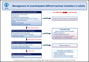 Flowchart outlining the management of unanticipated difficult tracheal intubation in adults