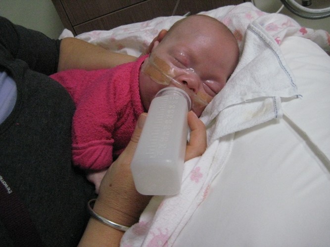 Figure 2: Semi elevated side lying feeding