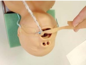 Image showing intubation procedure being performed on a dummy