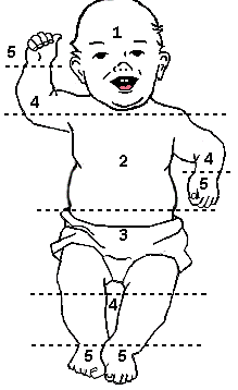 Figure 2: Kramers rule